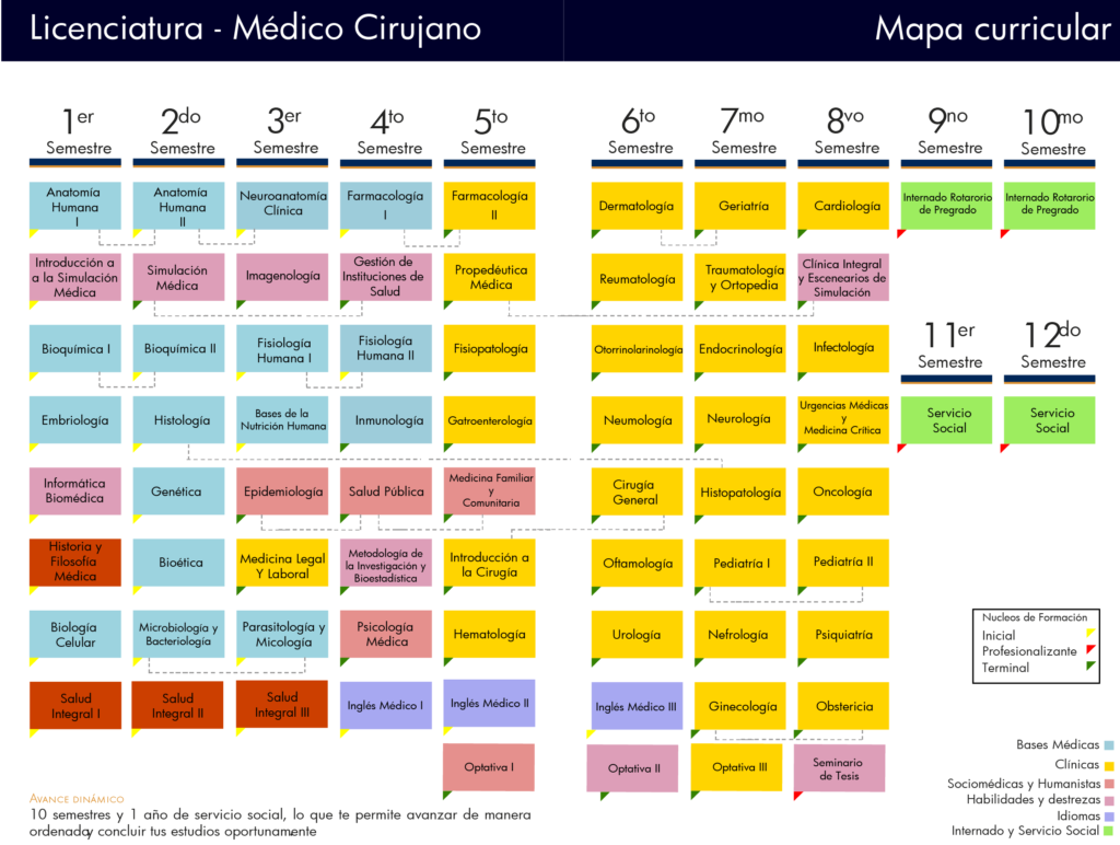 Plan de estudios Medicina 2024