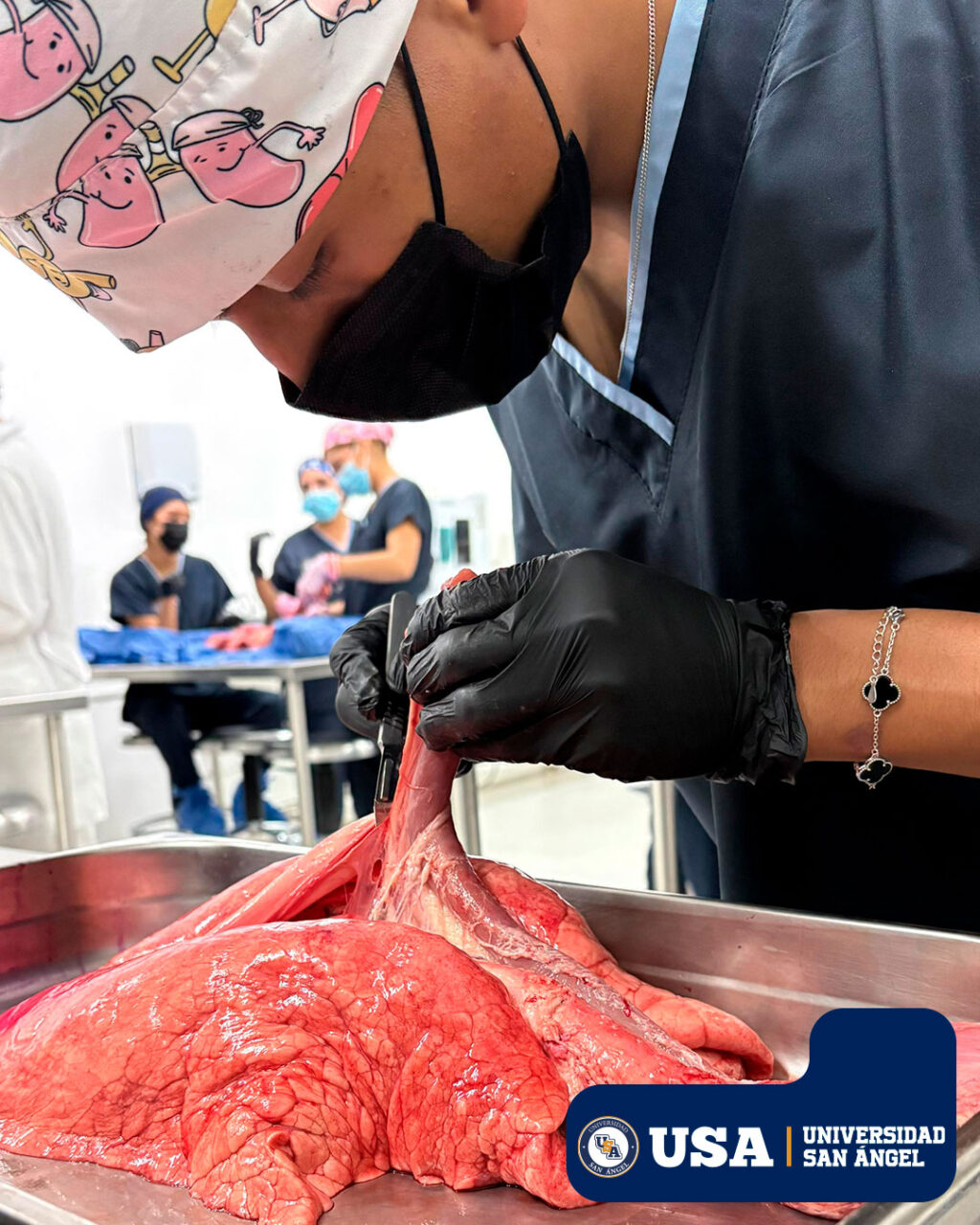 Instagram post from universidadsanangel. This post is in position 0.