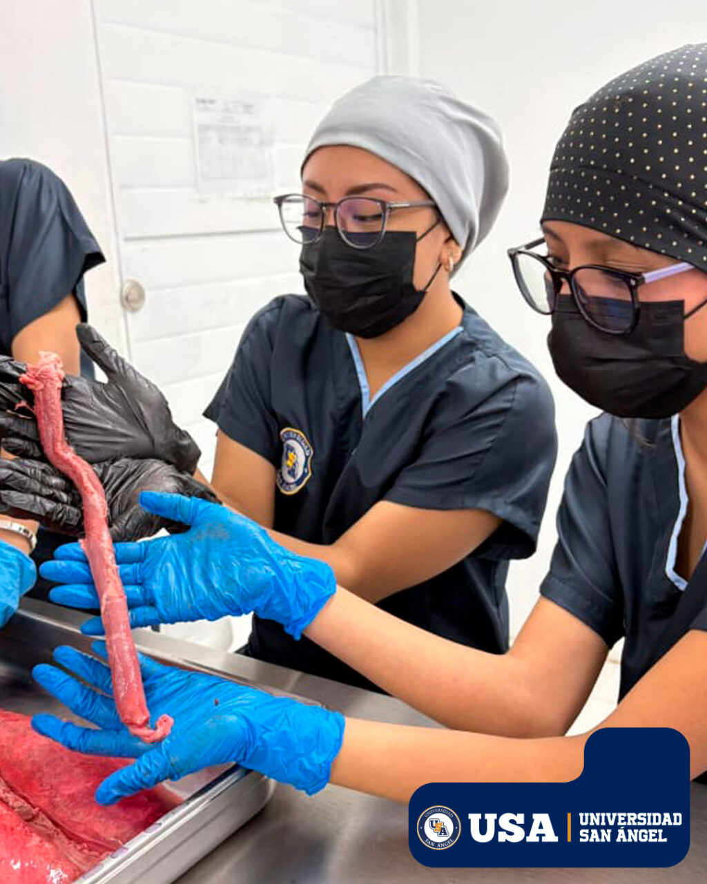 Instagram post from universidadsanangel. This post is in position 1.